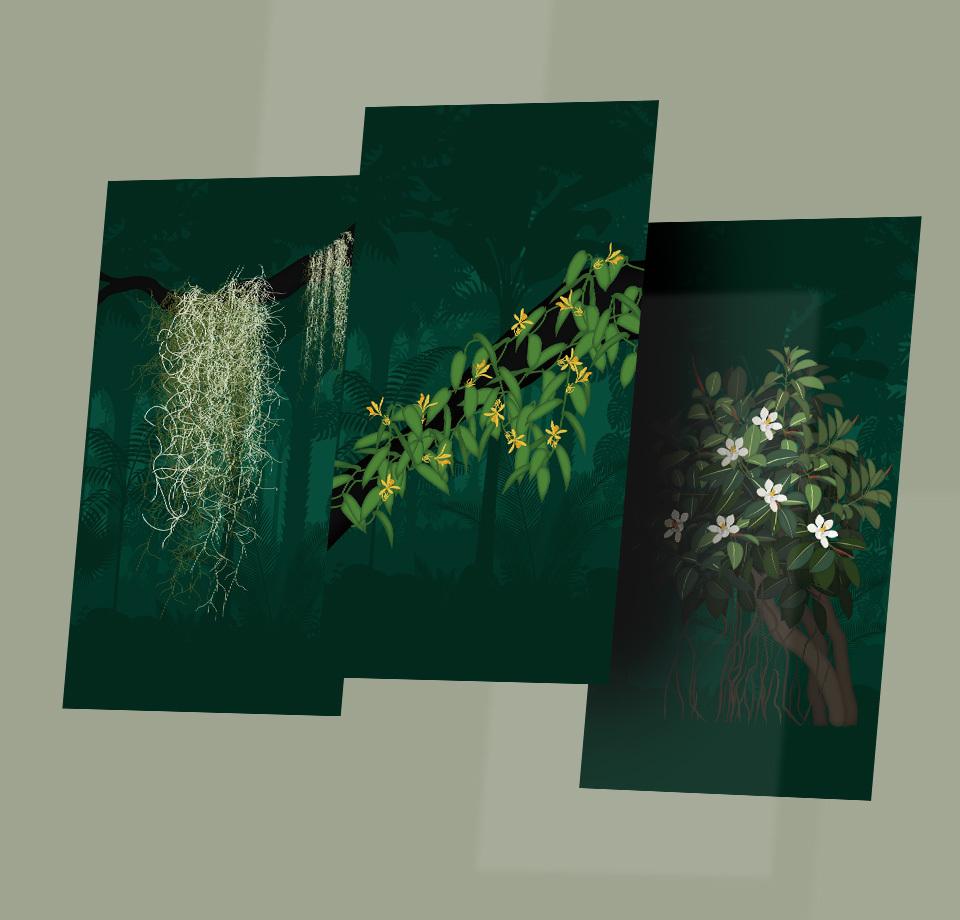 Illustrationen Pflanzen für App Design Dschungel