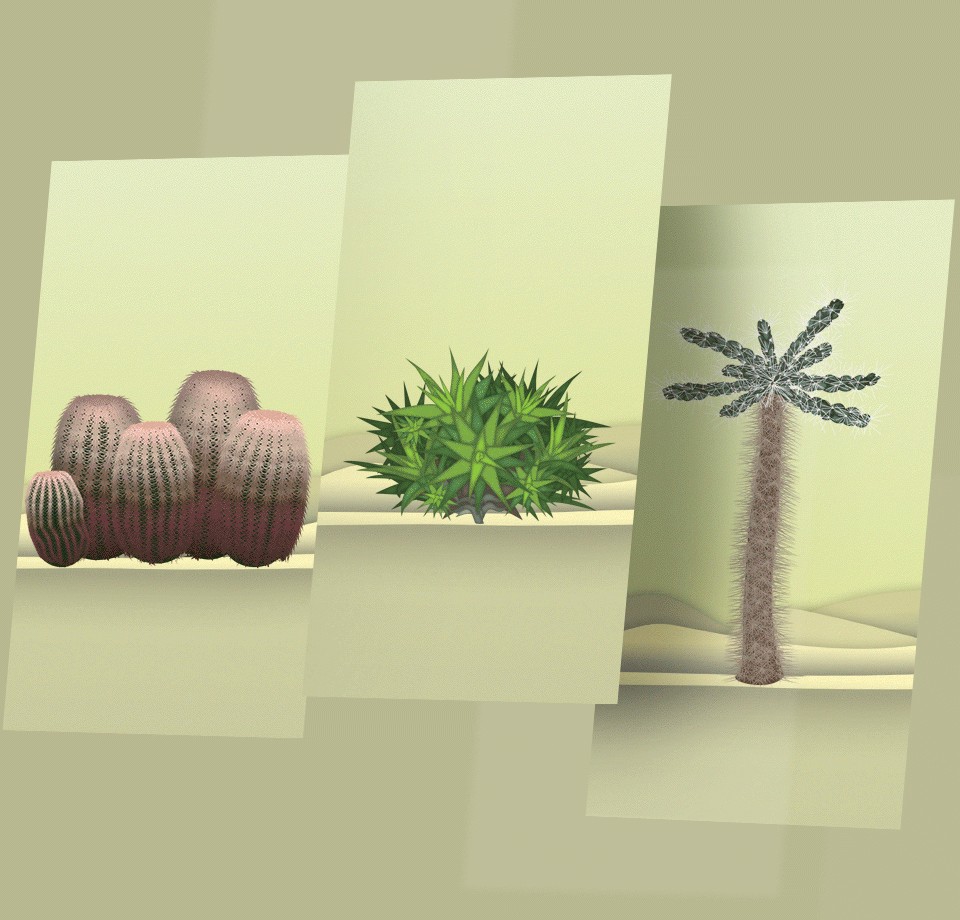 Illustrationen Pflanzen für App Design Danakil W?ste
