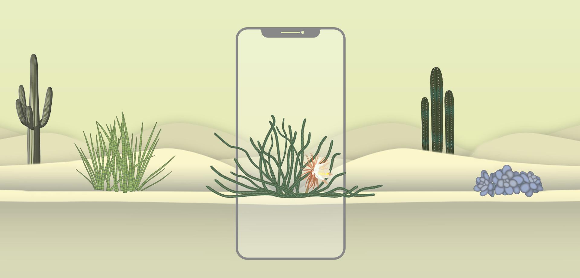 Illustrationen Pflanzen für App Design Danakil W?ste